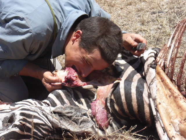 BearGrylls-eating-zebra.jpg