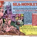 seamonkeys