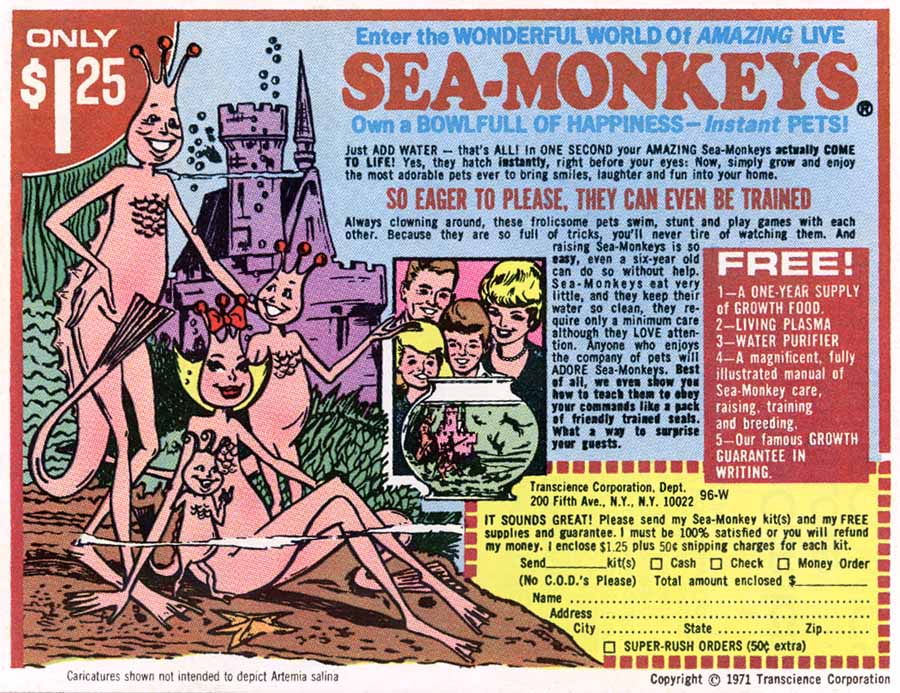 seamonkeys